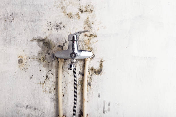 Home Mold Removal in Fosston, MN