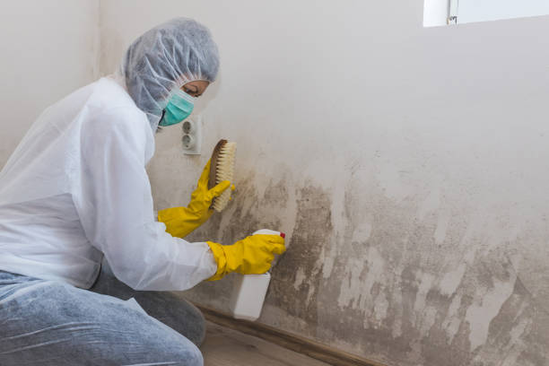 Best Crawl Space Mold Removal  in Fosston, MN