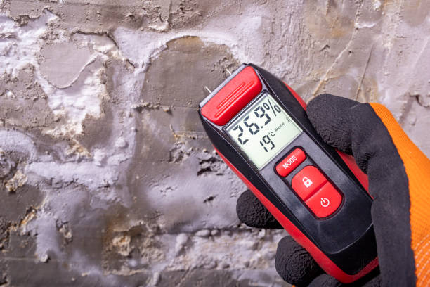 Best Professional Mold Removal  in Fosston, MN