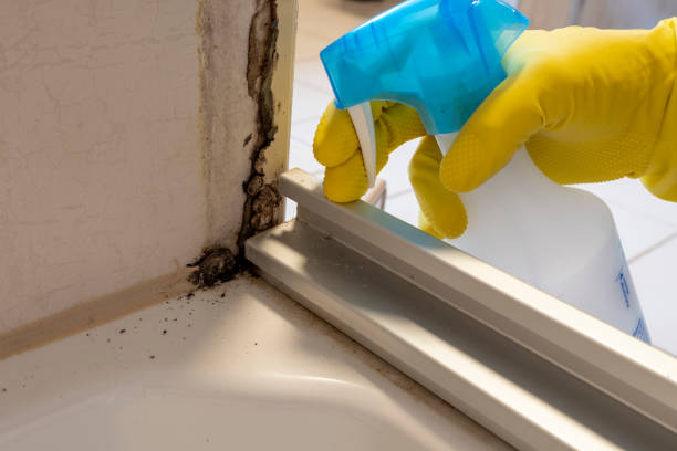 Best Mold Testing  in Fosston, MN