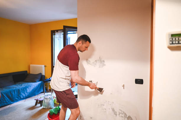 Trusted Fosston, MN Mold Removal Experts