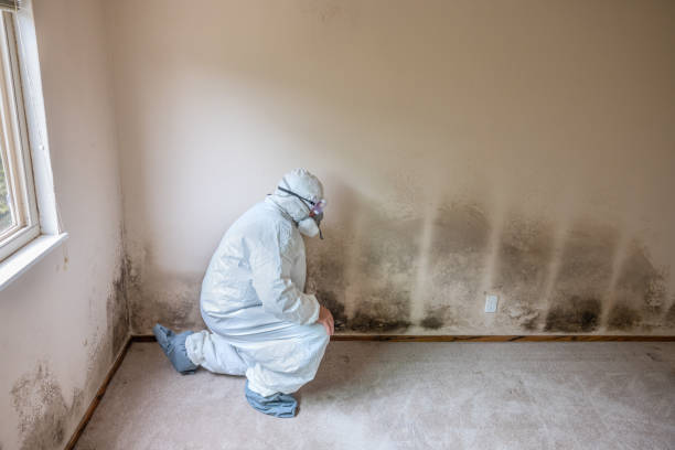 Best Mold Testing  in Fosston, MN