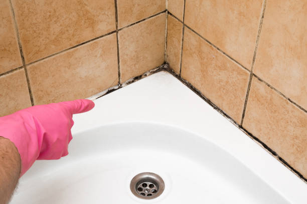 Best Emergency Mold Removal  in Fosston, MN